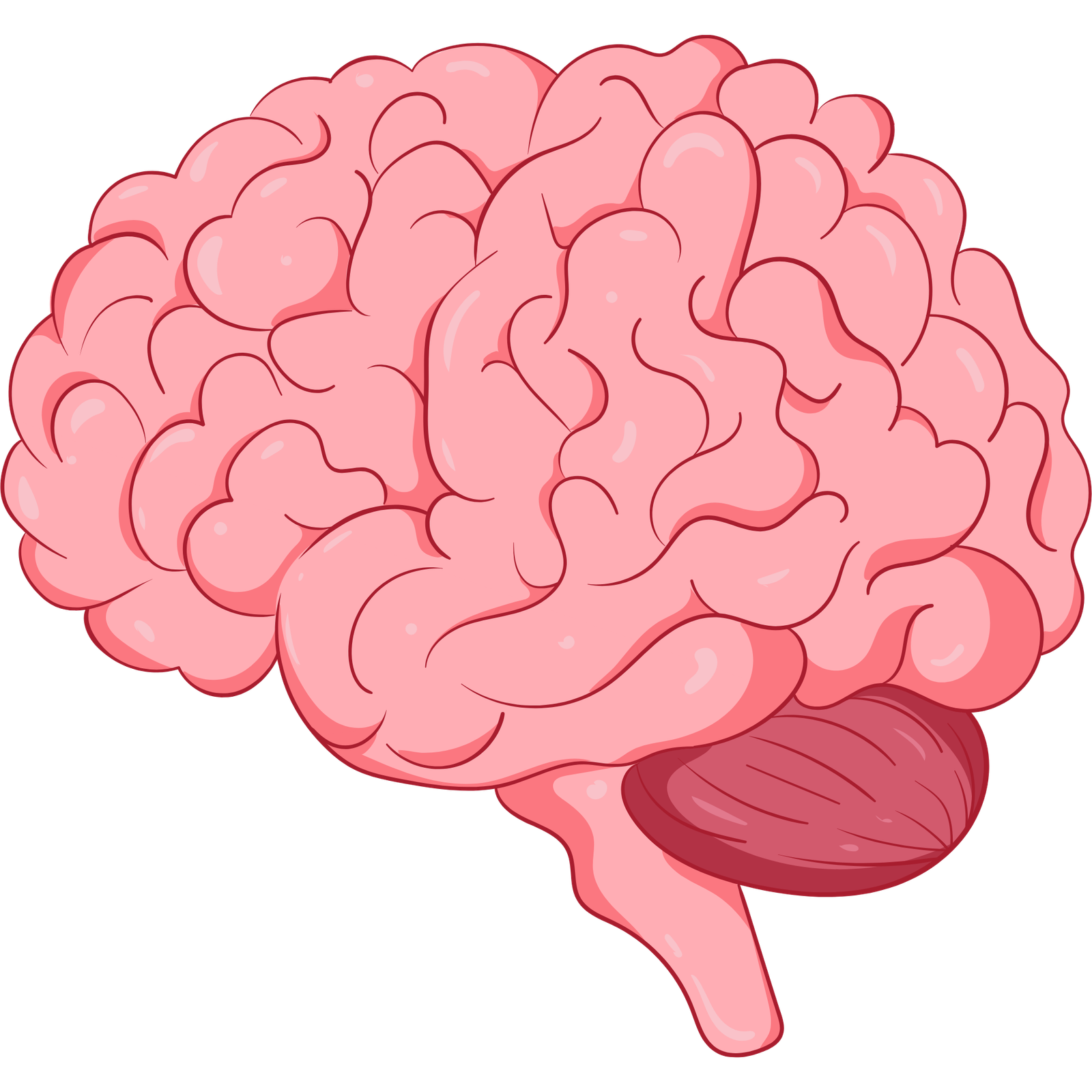 rainbow international school